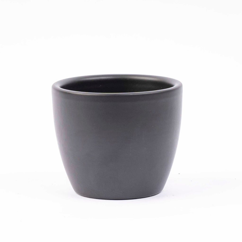 Mini Plant Set 12 - Includes 12X Boule Anthracite Pot